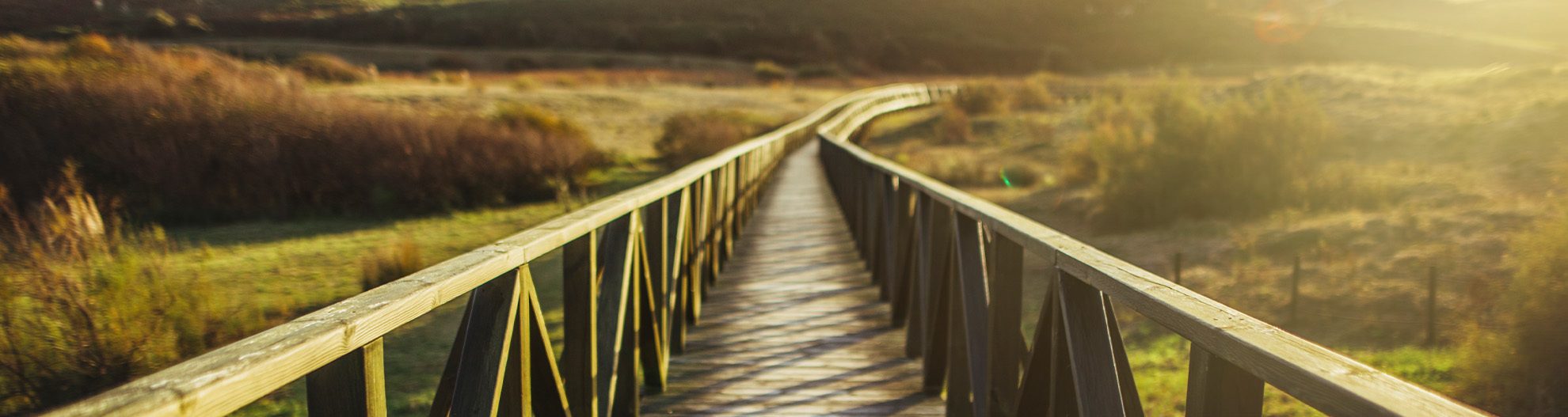 bridge